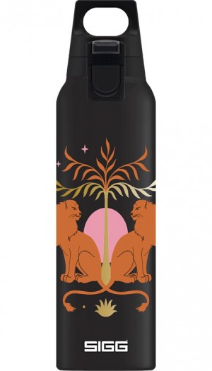 Sigg Thermo Flask Hot & Cold One Sophia Oasis 0.5l Water Bottle | 602-LIEOUD